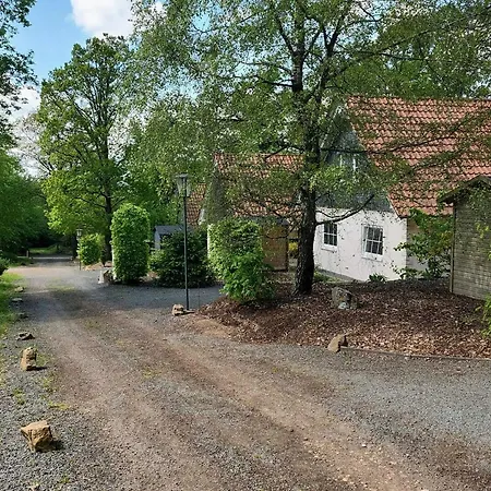 別荘 Tidy House With Sauna And Steam Bath, In A Forest *